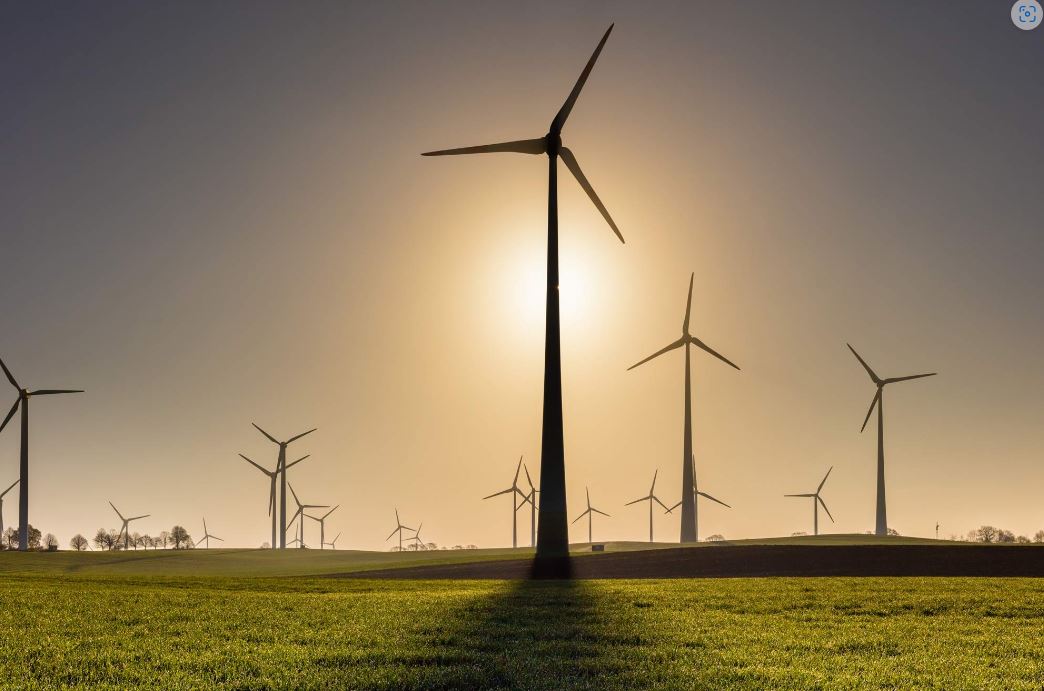 Windmills field picture